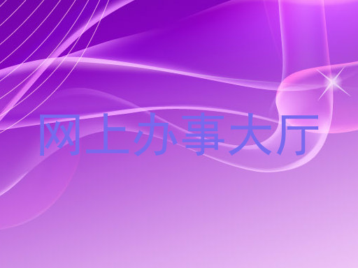 网上办事大厅
