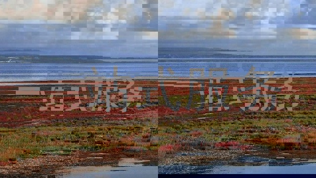 一站式服务