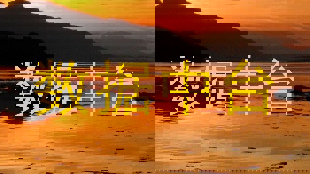 数据中台