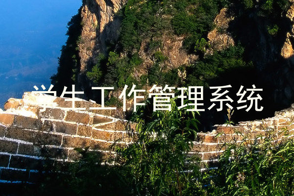 学生工作管理系统