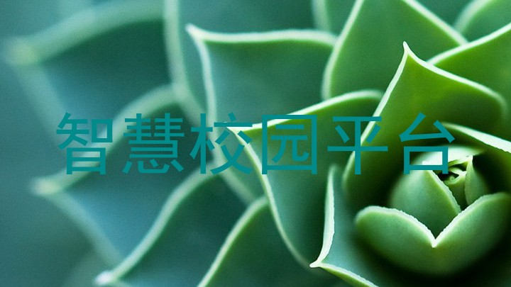 智慧校园平台