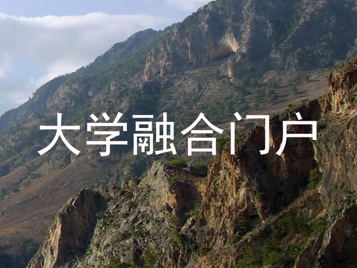 大学融合门户