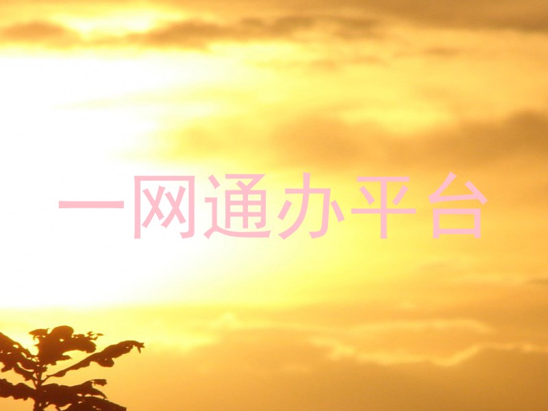一网通办平台
