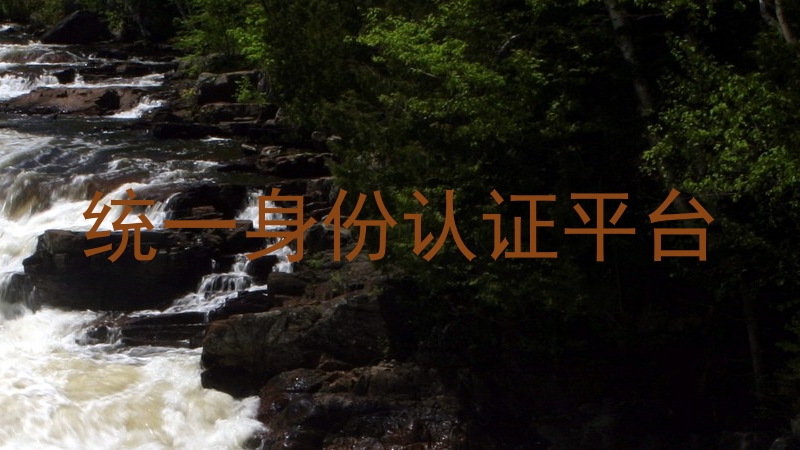 统一身份认证平台