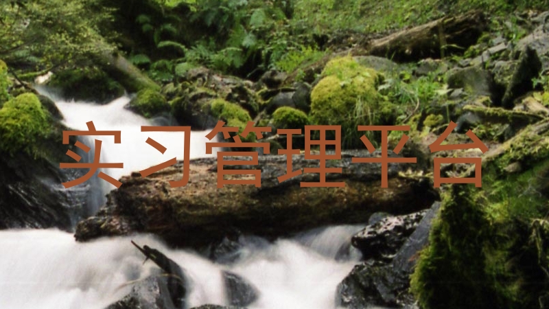 实习管理平台