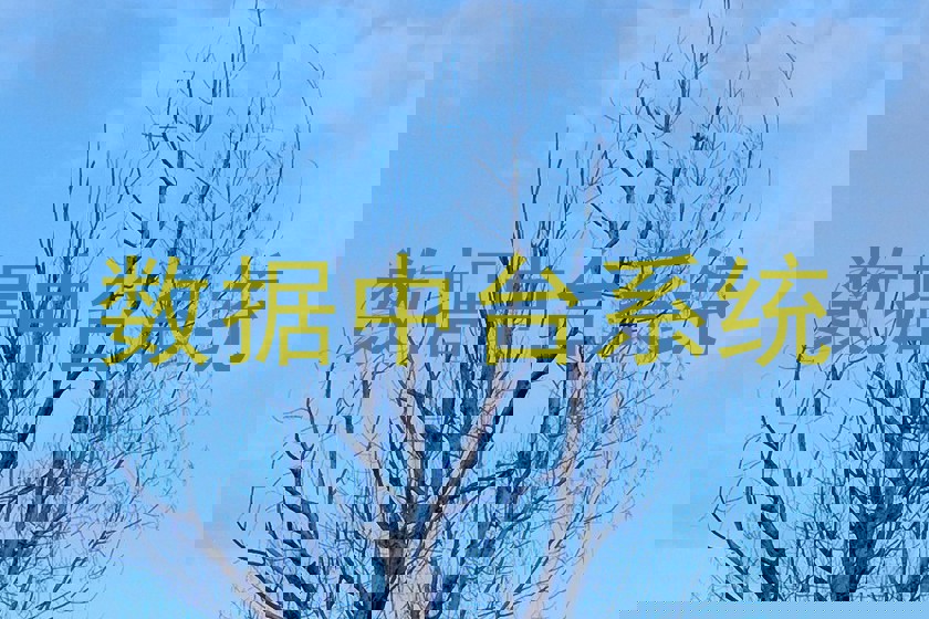 数据中台系统