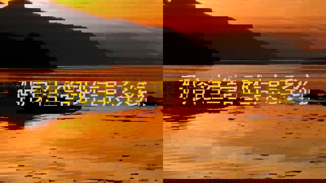 研究生管理信息系统