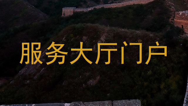 服务大厅门户