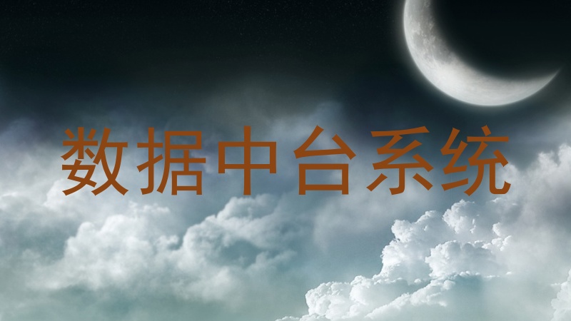 数据中台系统