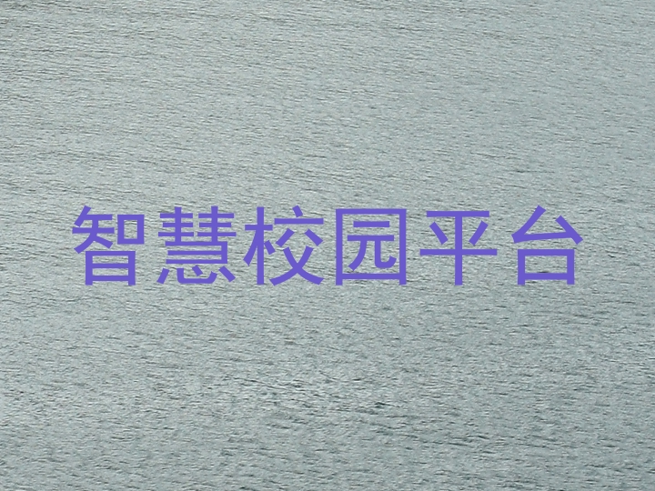 智慧校园平台