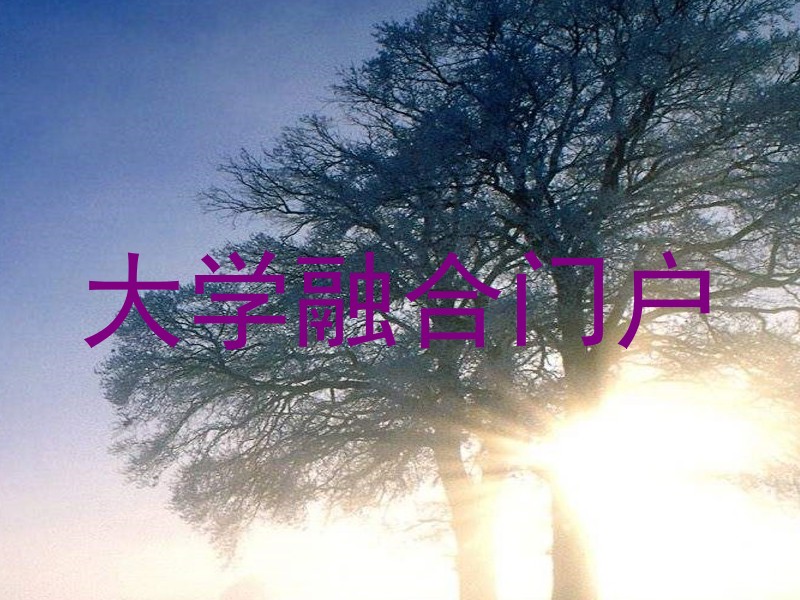 大学融合门户