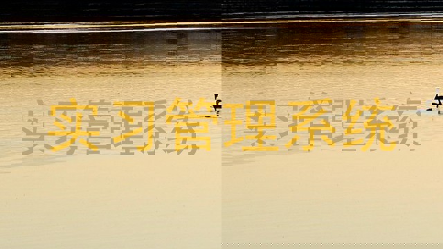 实习管理系统