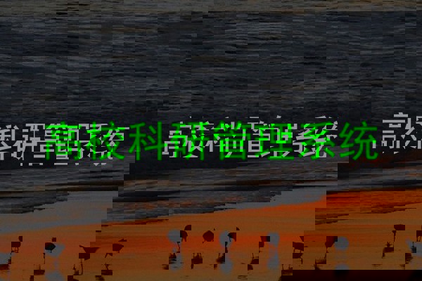 高校科研管理系统