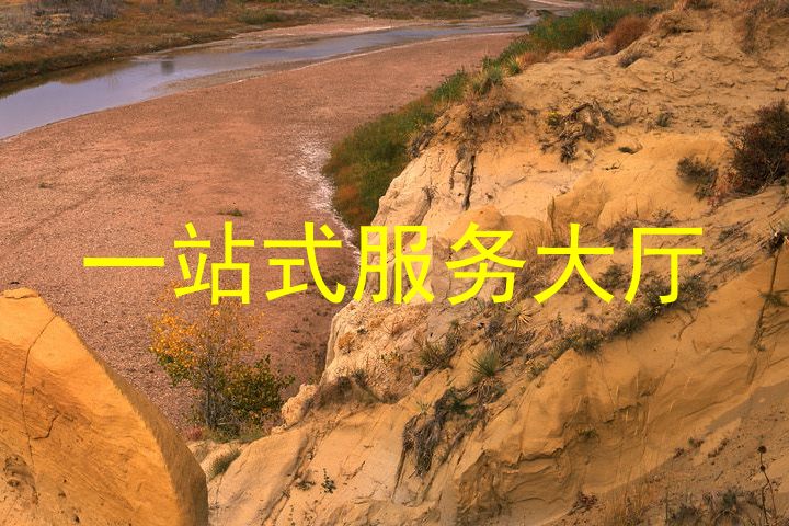 一站式服务大厅
