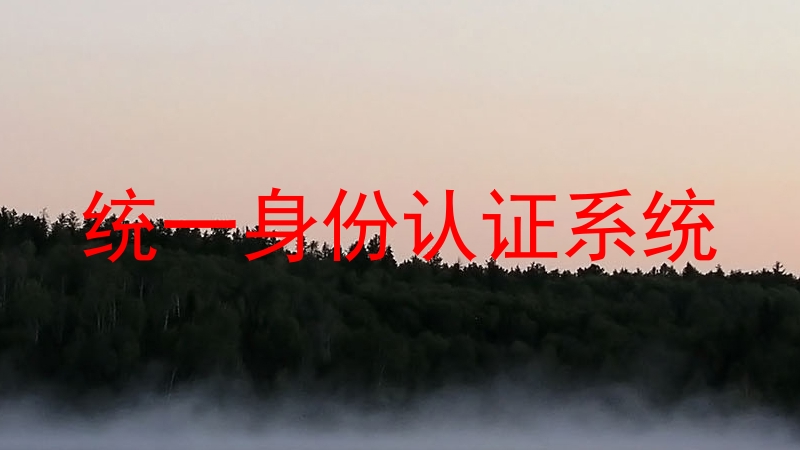 统一身份认证系统