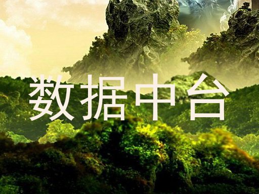 数据中台