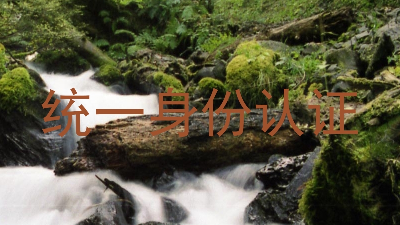 统一身份认证