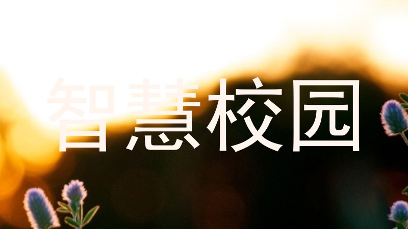 智慧校园