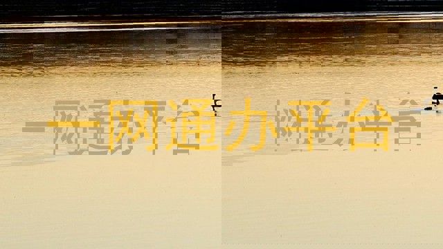 一网通办平台