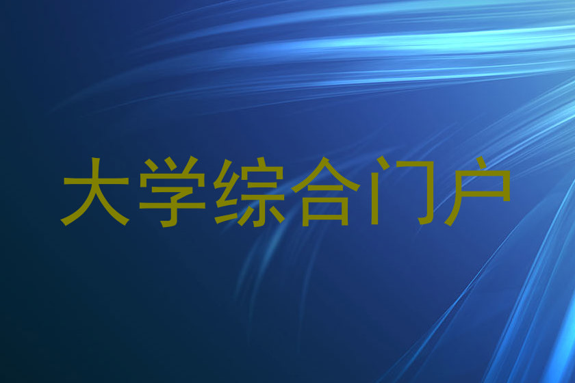 大学综合门户
