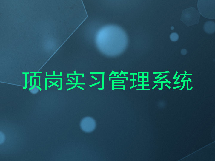 顶岗实习管理系统