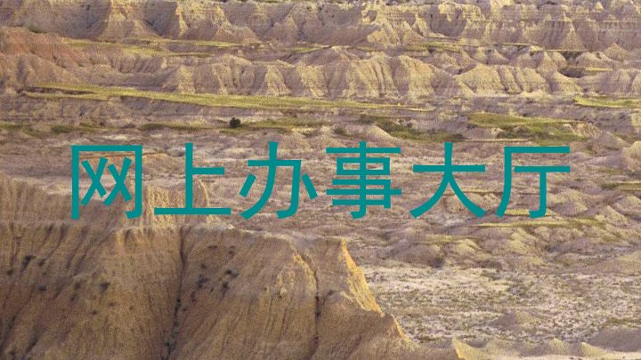 网上办事大厅