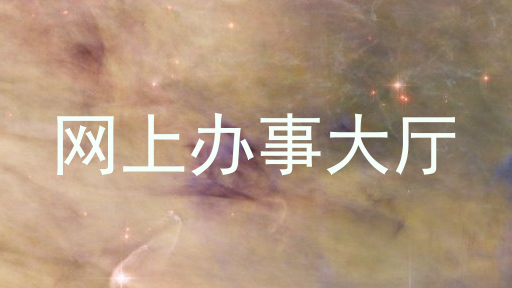 网上办事大厅