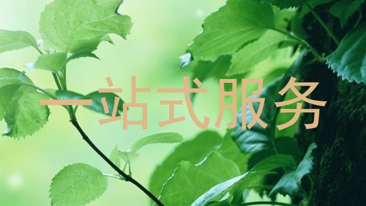 一站式服务