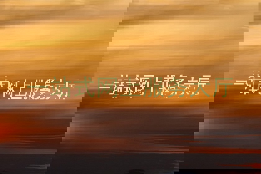 一站式网上服务大厅