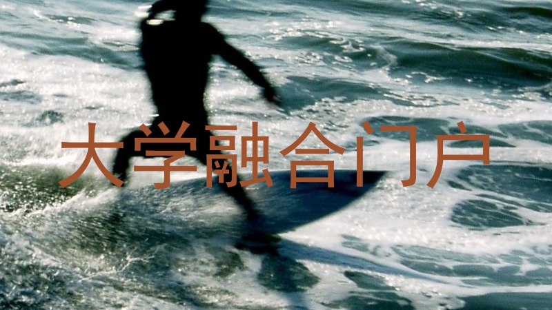 大学融合门户