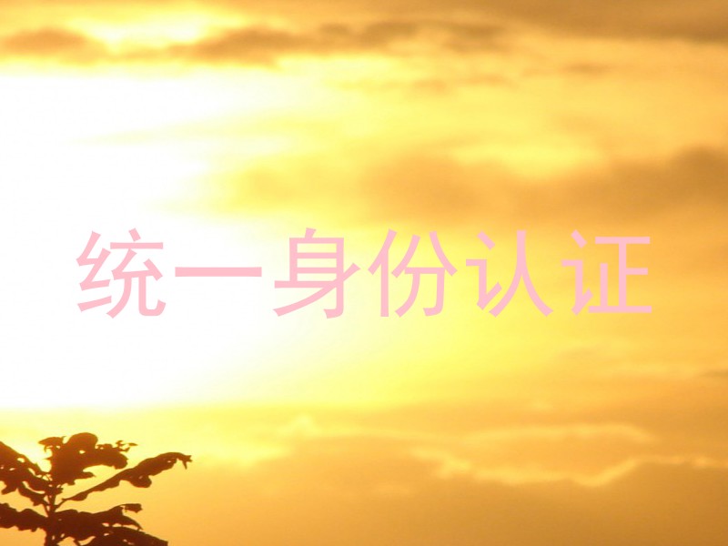 统一身份认证