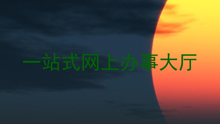 一站式网上办事大厅