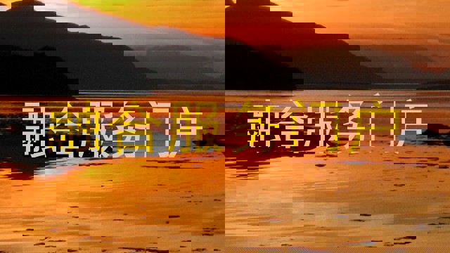 融合服务门户