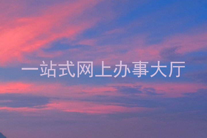 一站式网上办事大厅