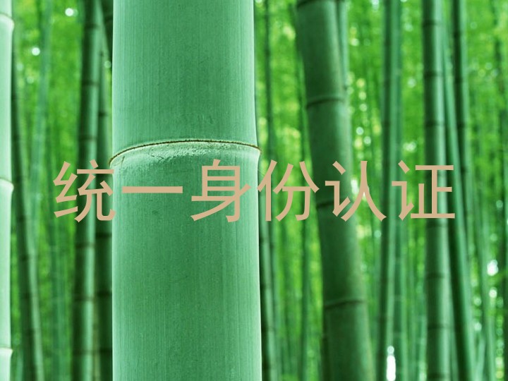 统一身份认证