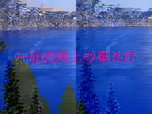 一站式网上办事大厅