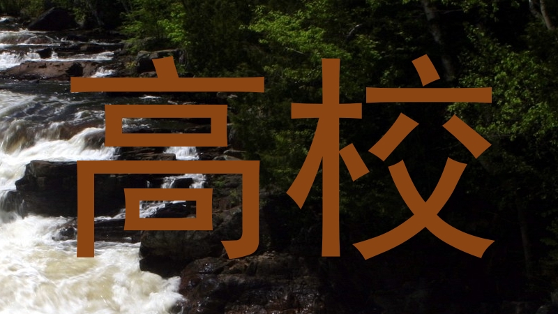 高校