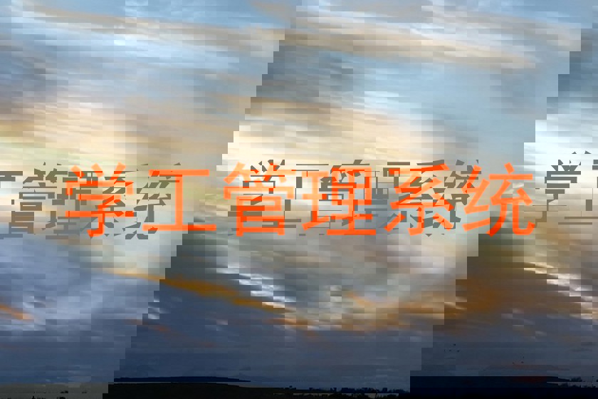 学工管理系统
