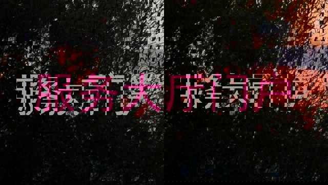 服务大厅门户