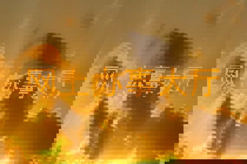 网上办事大厅