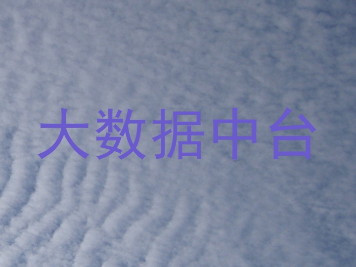 大数据中台