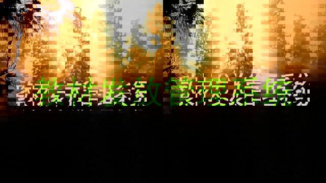 教材发放管理系统