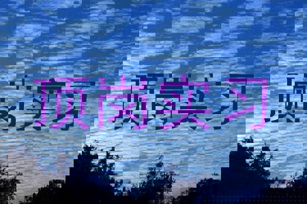 顶岗实习
