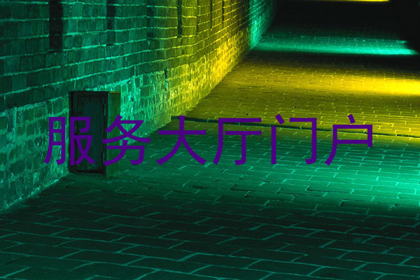 服务大厅门户