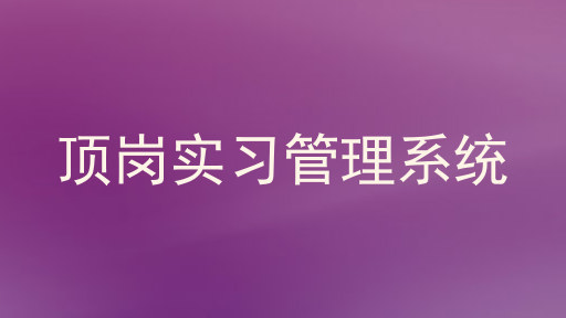 顶岗实习管理系统