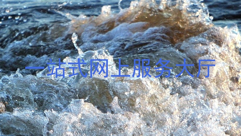 一站式网上服务大厅