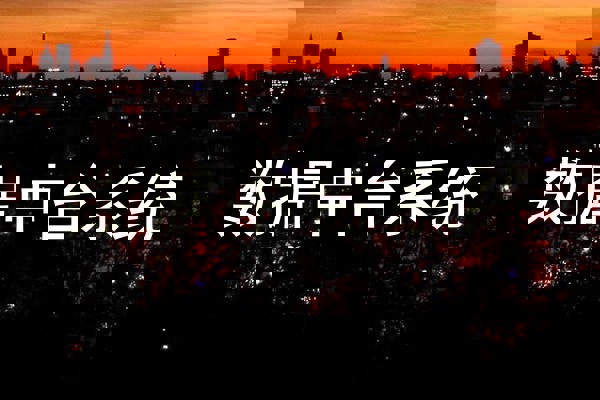 数据中台系统