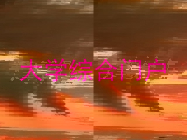 大学综合门户