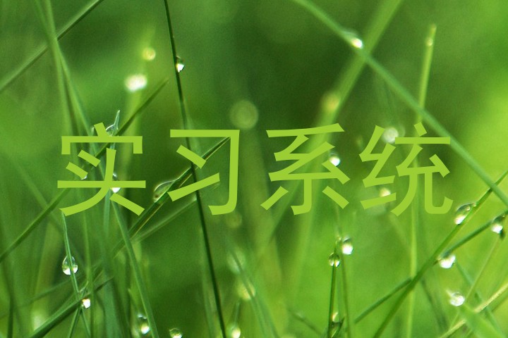 实习系统