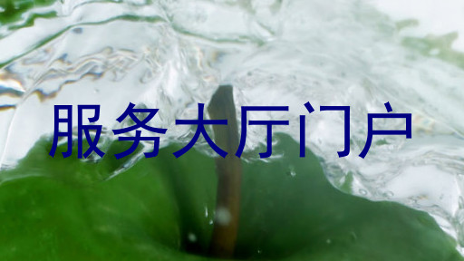 服务大厅门户
